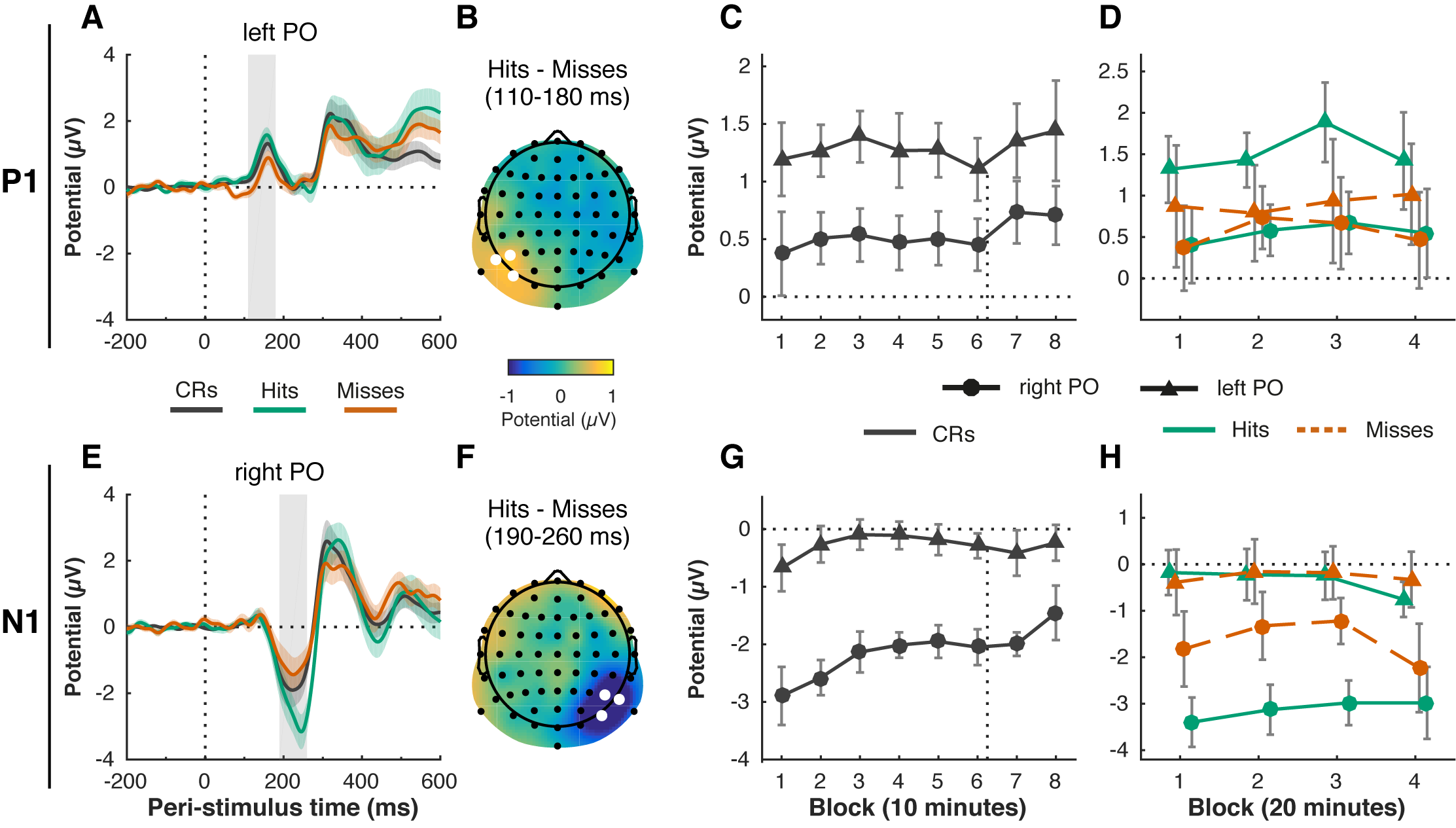 Time-on task and motivation do not affect attentional modulation of early visual processing: P1 (A-D) and N1 (E-H) ERP components. The P1 peaked between 110–180 ms (gray shaded rectangle) post-stimulus (vertical dotted line) on left parieto-occipital (left PO) electrodes (PO7, P5, P7) (A). The N1 peaked between 190–260 ms (gray shaded rectangle) on right parieto-occipital (right PO) electrodes (PO8, P6, P8) (E). The attentional modulation of the components, defined as the difference between hits and misses, was also lateralized to the left PO region for the P1 (B, average of P1 time window, left PO electrodes marked in white) and the right PO region for the N1 (F, average of N1 time window, right PO electrodes marked in white). P1 amplitude (C) did not change significantly over time in correct rejection (CR) trials, but N1 amplitude did decrease with time-on-task (G) (8 blocks of 10 minutes each). The time of the motivation manipulation (directly after block 6) is indicated with the vertical dotted line. There was no significant change in the attentional modulation (hits vs. misses) of the P1 (D) and N1 (H) over time (4 blocks of 20 minutes each). Error bars are within-subject (Cousineau, 2005; Morey, 2008) 95% confidence intervals; shaded areas in (A) and (E) represent the standard error of the mean.