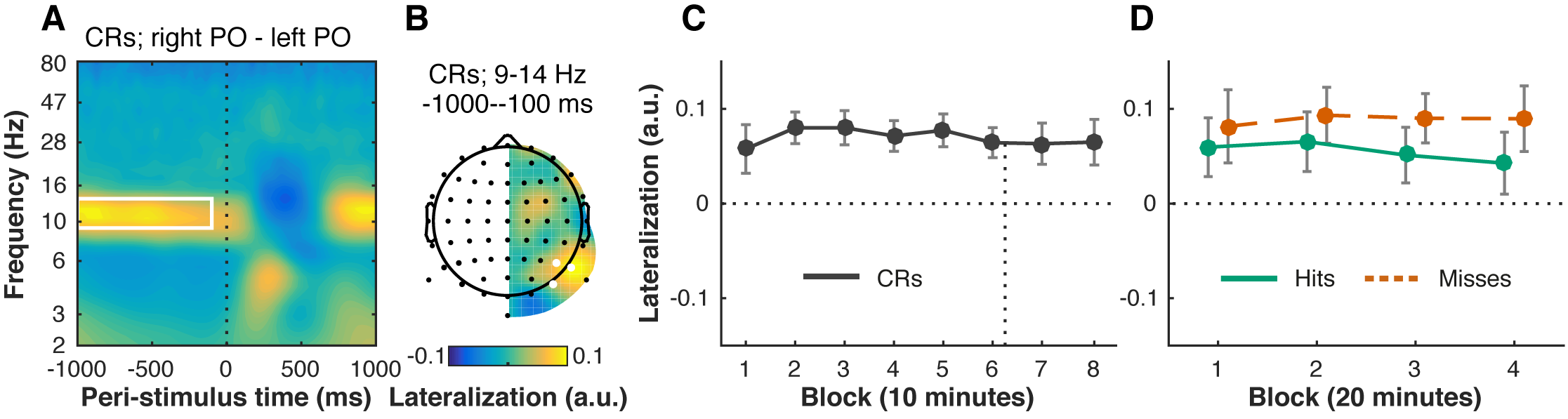 Pre-stimulus alpha power remains right-lateralized over time, despite stimuli appearing exclusively in the left visual hemifield. For each time-frequency point, we computed a lateralization index, by subtracting power at each left electrode from its counterpart on the right side, and dividing by the sum. Positive values therefore mean that power was relatively stronger over the right hemisphere. Our data show that pre-stimulus (vertical dotted line) alpha power is right-lateralized (A, time-frequency window: 9–14 Hz, -1000 to -100 ms, outlined in white), when comparing left (PO7, P5, P7) and right parieto-occipital (right PO: PO8, P6, P8) electrode sites (B, electrodes marked in white). This pattern did not change significantly with time-on-task, neither in correction rejection trials (CRs) (C, 8 blocks of 10 minutes each; time of the motivation manipulation indicated with vertical dotted line), nor in hit and miss trials (D, 4 blocks of 20 minutes each). Error bars are within-subject (Cousineau, 2005; Morey, 2008) 95% confidence intervals.